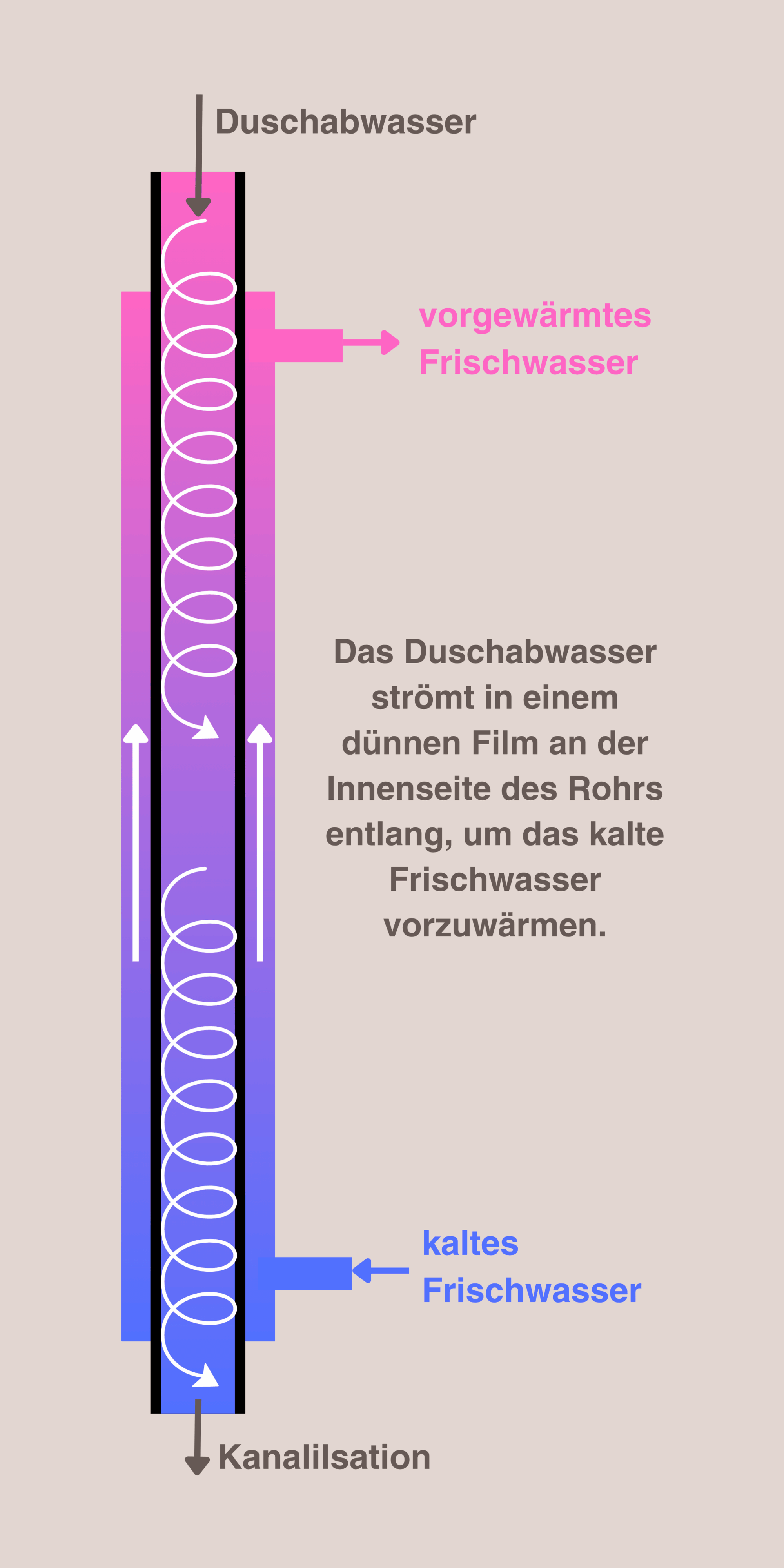 Schematische Darstellung der Funktion des Showersave Fallrohrwärmetauschers